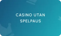 Casino utan Spelpaus