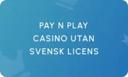 Pay n Play Casino utan Svensk Licens