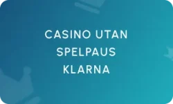 Casino Utan Spelpaus Klarna