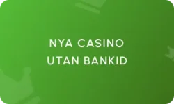 NYA Casino Utan BankID