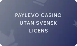PayLevo Casino utan Svensk Licens