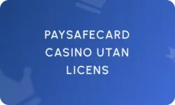 Paysafecard Casino utan Licens