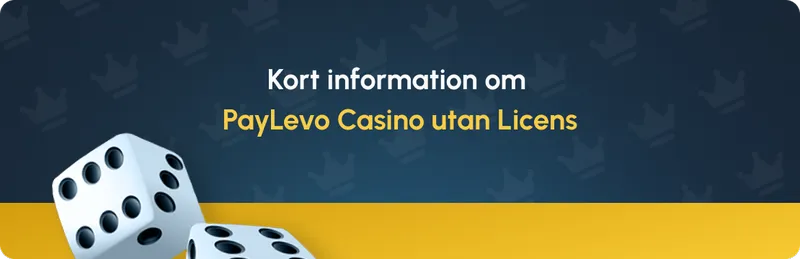 Kort information om PayLevo Casino utan Licens