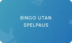 Bingo Utan SpelPaus