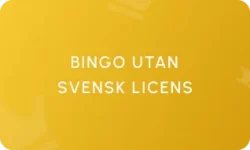 Bingo Utan Svensk Licens