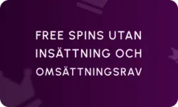 Free Spins Utan Insättning Och Omsättningskrav Utan Svensk Licens