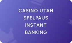 Casino Utan Spelpaus Instant Banking